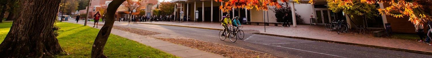 person biking in fall trees in front of vu