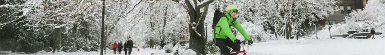 A bicyclist wearing a green jacket rides through a snowy field, with snow-covered trees and buildings visible in the background.
